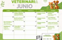 Dan a conocer el calendario de esterilizaciones gratuitas durante junio en Puerto Vallarta