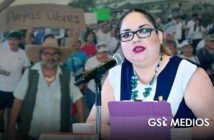 Fiscalía de Nayarit da marcha atrás y retira cargos contra defensores de Playa Las Cocinas y PROFEPA admite denuncia