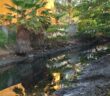 Denuncian contaminación en el canal de Los Tules por descargas de aguas negras