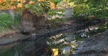 Denuncian contaminación en el canal de Los Tules por descargas de aguas negras