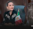 “En sindicatura hay ratas”: Síndico de Bahía de Banderas denuncia pésimas condiciones en oficinas del ayuntamiento
