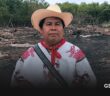 Denuncian ecocidio en sitio sagrado wixárika en San Blas