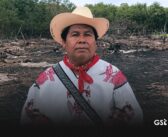 Denuncian ecocidio en sitio sagrado wixárika en San Blas