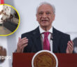 Fiscalía de Morelos investiga a ex director de Pemex por presunta violencia familiar