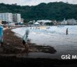 Descartan sargazo en Guayabitos; se trata de macroalga