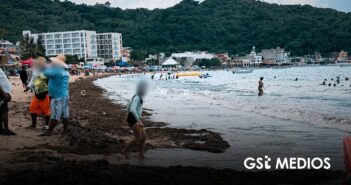 Descartan sargazo en Guayabitos; se trata de macroalga