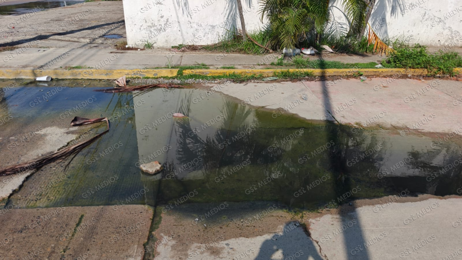 Se confirma derrame de aguas negras en Altavela en Bahía de Banderas 1 Se confirma derrame de aguas negras en Altavela en Bahía de Banderas