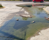 Se confirma derrame de aguas negras en Altavela en Bahía de Banderas
