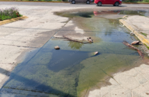 Se confirma derrame de aguas negras en Altavela en Bahía de Banderas