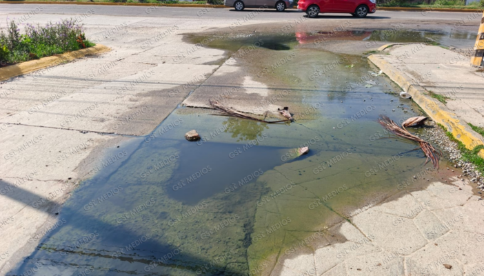 Se confirma derrame de aguas negras en Altavela en Bahía de Banderas