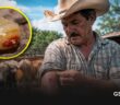 Confirman en Tamaulipas dos casos en humanos por gusano barrenador; activan cerco sanitario