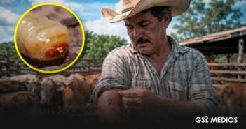 Confirman en Tamaulipas dos casos en humanos por gusano barrenador; activan cerco sanitario