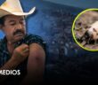 Confirman primer caso de gusano barrenador en humano en Nayarit; paciente radica en Puerto Vallarta