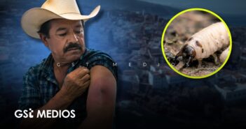 Confirman primer caso de gusano barrenador en humano en Nayarit; paciente radica en Puerto Vallarta