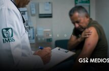 Confirman primer caso humano de gusano barrenador en Puerto Vallarta; descartan riesgo de brote