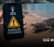 Aplicación “Alerta Jalisco” incluirá monitoreo de cocodrilos en tiempo real en Puerto Vallarta
