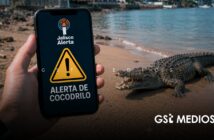 Aplicación “Alerta Jalisco” incluirá monitoreo de cocodrilos en tiempo real en Puerto Vallarta