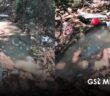 Denuncian derrame de aguas negras en El Coapinole