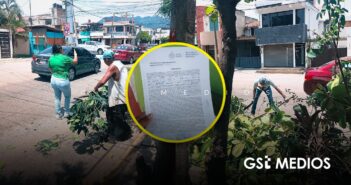 Dirección de Sostenibilidad Ambiental levanta acta a presidenta de la colonia Infonavit por poda de árboles
