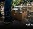 Piden a las autoridades atender el abandono de gatos en la Isla del Cuale ante riesgo para especies endémicas