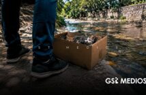 Piden a las autoridades atender el abandono de gatos en la Isla del Cuale ante riesgo para especies endémicas