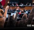 Senado alista Ley General para la protección de los animales en México