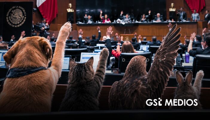 Senado alista Ley General para la protección de los animales en México