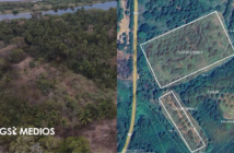 Los pueblos que sobrevivieron a la Conquista: INAH revela dos sitios arqueológicos ocultos en Guerrero