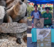Refuerzan campamento tortuguero de Boca de Tomates con equipo nuevo y apoyo a brigadas ambientales