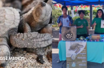 Refuerzan campamento tortuguero de Boca de Tomates con equipo nuevo y apoyo a brigadas ambientales