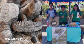 Refuerzan campamento tortuguero de Boca de Tomates con equipo nuevo y apoyo a brigadas ambientales