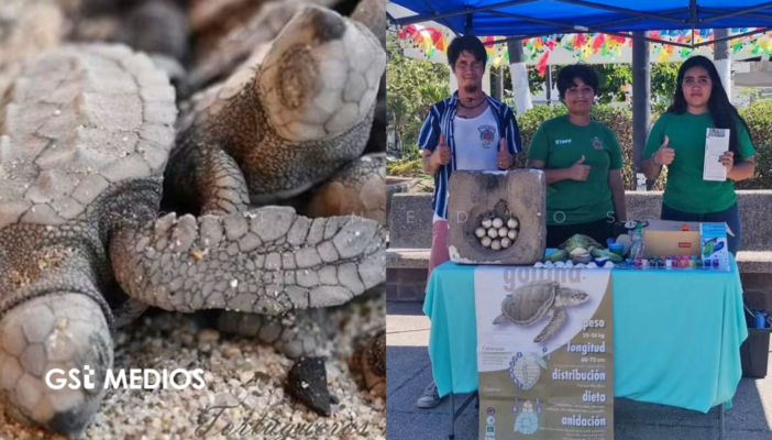 Refuerzan campamento tortuguero de Boca de Tomates con equipo nuevo y apoyo a brigadas ambientales