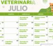 Anuncian calendario de esterilizaciones gratuitas en Puerto Vallarta para julio