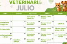 Anuncian calendario de esterilizaciones gratuitas en Puerto Vallarta para julio