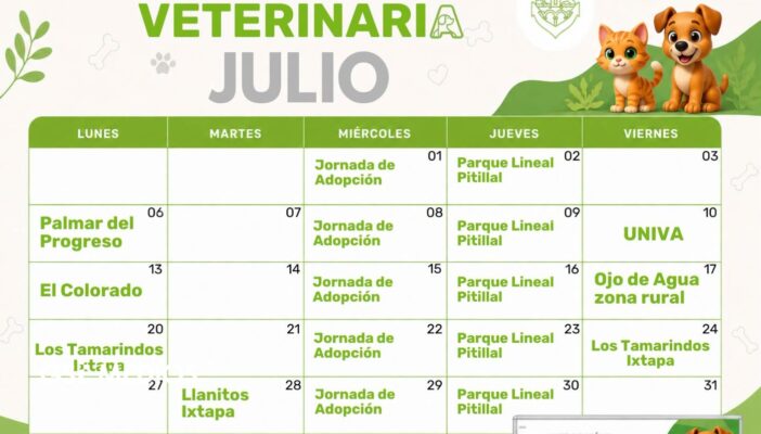 Anuncian calendario de esterilizaciones gratuitas en Puerto Vallarta para julio