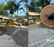 Preparan corral de incubación para próxima temporada de anidación de tortugas marinas en Puerto Vallarta