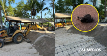 Preparan corral de incubación para próxima temporada de anidación de tortugas marinas en Puerto Vallarta