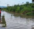 Protección Civil acordona una calle por presencia de cocodrilo en Mojoneras