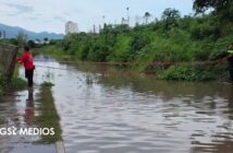Protección Civil acordona una calle por presencia de cocodrilo en Mojoneras