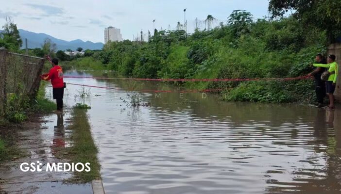 Protección Civil acordona una calle por presencia de cocodrilo en Mojoneras