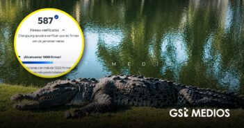 Lanzan petición en Change.org para proteger a cocodrilos de Puerto Vallarta y Nayarit