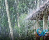 Prevén lluvias intensas en el Pacífico