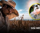 El Niño amenaza con agravar la sequía y la escasez de agua en México