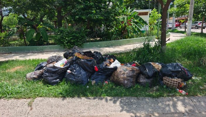 Montañas de basura se acumulan en calles de la colonia Las Aralias