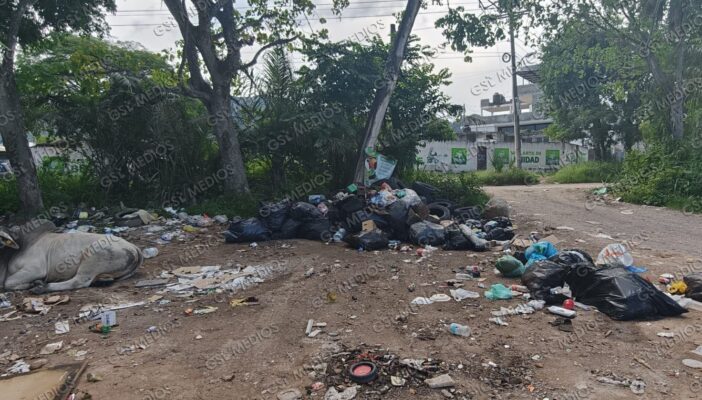 Vecinos denuncian montañas de basura y llantas en Lomas de San Nicolás