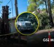 Denuncian desmoche de árboles históricos en Versalles