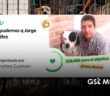 Abren GoFundMe para Jorge Vélez, rescatista que busca la adopción de más de diez perritos