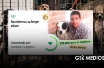 Abren GoFundMe para Jorge Vélez, rescatista que busca la adopción de más de diez perritos