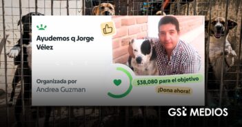 Abren GoFundMe para Jorge Vélez, rescatista que busca la adopción de más de diez perritos