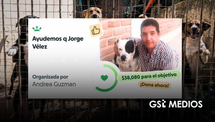 Abren GoFundMe para Jorge Vélez, rescatista que busca la adopción de más de diez perritos